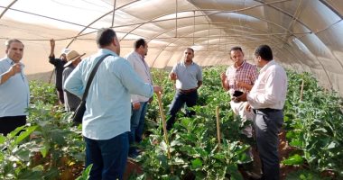 العيادة الزراعية بالوادى الجديد تستأنف نشاطها التدريبى بورش عمل ميدانية بمركز بلاط