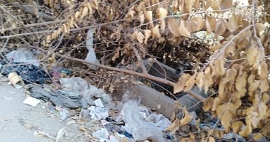 شكوى من تراكم القمامة بجانب الترعة فى بنها.. ومحافظ القليوبية يستجيب