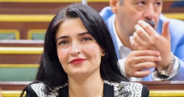 إيرين سعيد: فجوة إنتاج واستهلاك الطاقة مقلقة وندعم الحكومة لتجاوز الأزمة