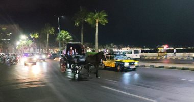 الأمطار تضرب الإسكندرية مجددًا واستمرار رفع حالة الطوارئ.. صور