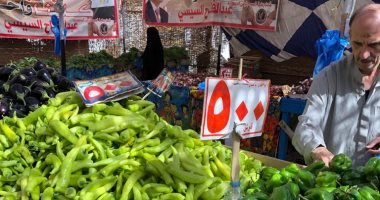 الغرفة التجارية تعلن الأسعار الاسترشادية للخضر والفاكهة بالإسماعيلية