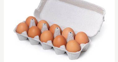 بلاش ترميها وازرعى فيها.. طرق مختلفة لإعادة تدوير كرتونة البيض 