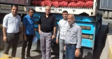 جمارك بورسعيد تضبط 3 محاولات لتصدير بضائع بدون تفويض أو العرض على الجهات الرقابية