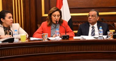 وزيرة الثقافة تستعرض خطة الوزارة بلجنة الثقافة بمجلس الشيوخ