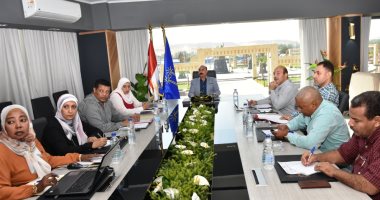 محافظ أسوان: طرح المحلات والوحدات الإدارية بالمولات لتوفير فرص عمل للشباب