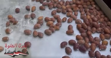 يصدر المخلل وورق العنب للخليج.. "عاصم" قصة نجاح وإصرار ودعم كبير من الدولة