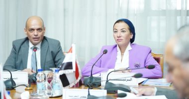 ياسمين فؤاد: دعم القضايا البيئية العربية عالميا أهم أولويات وزراء البيئة العرب