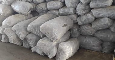 ضبط 15000 علبة جبن مطبوخ غير صالحة للاستهلاك الآدمي بالقناطر الخيرية