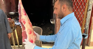 ضبط جزار  ببيع لحوم الأغنام خارج المجازر الحكومية بسوهاج 