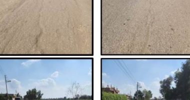 رصف وصلة طريق قرى"خلوة أبو حطب / المحمودية" بالشرقية بطول 2000 متر