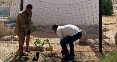 اتحضر للأخضر.. زراعة 10 آلاف شجرة بسمالوط ضمن مبادرة 100 مليون شجرة.. المنيا تشارك بـ222 مشروعا ذكيا.. والمحافظ يؤكد: مشــروع إنشــاء محطــة الطاقـة الشمسـية لصناعات كربونات الكالسيوم "سفير المحافظة".. صور