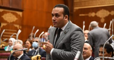 نائب بالشيوخ: المؤتمر الاقتصادى سيعرض تحديات تواجه القطاعات والتوصل لحلول لدعمها