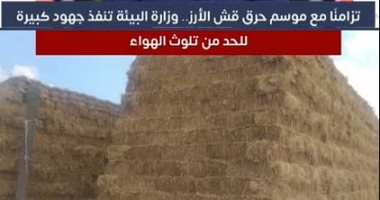 تزامنًا مع موسم "قش الأرز".. البيئة تنفذ جهودا كبيرة للحد من تلوث الهواء "فيديو"
