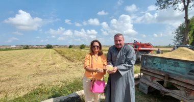 جنى محصول الأرز بريف الإسكندرية.. الفلاحون: متابعة "الإرشاد" سبب وفرة الإنتاج بدون حشائش.. و"سخا 101" ذو "حبة" جيدة الحجم.. "مديرية الزراعة": نجحنا فى زراعة "الأرز الجاف" 4 سنوات متتالية.. فيديو وصور