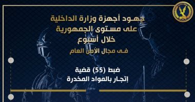 الداخلية تضبط 862 قطعة سلاح فى حملات أمنية.. إنفو جراف