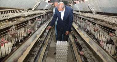 10 معلومات عن مشروع الـ 30 مليون بيضة وخطة إنشاء مشروعات زراعية في الخانكة