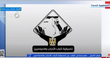 نائبة بتنسيقية شباب الأحزاب: نقوم بجولات للتعريف بالحوار الوطنى لجميع الفئات
