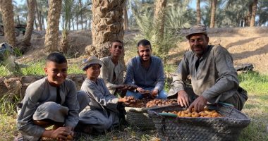 حكاية قرية بالجيزة تحوى أكثر من 1.5 مليون نخلة
