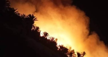 السيطرة على حريق فى مزرعة نخيل بالداخلة بالوادى الجديد دون إصابات 