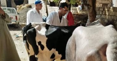 جامعة الزقازيق توجه قافلة بيطرية لقرية تل مسمار بالشرقية