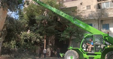 نظافة القاهرة تقلم أضخم شجرة استجابة لشكاوى سكان شارع الطبرى بمصر الجديدة