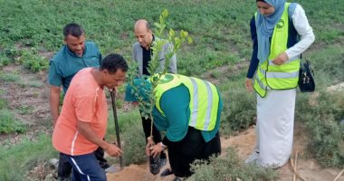 زراعة 200 شجرة مثمرة على جانبى الطريق الصحراوى الغربى بمركز العدوة بالمنيا