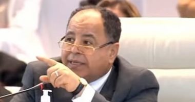 وزير المالية: الرئيس السيسى نجح فى تغيير الوجه الاقتصادى لمصر خلال 8 سنوات