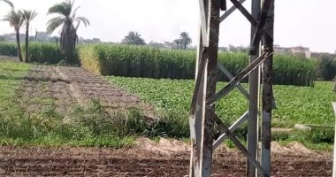 أبراج كهرباء ورصف الشوارع.. حياة كريمة تزين قرى ملوى وديرمواس بالمنيا