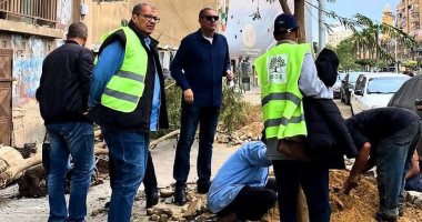 اتحضر للأخضر.. غرس أول شجرة من مبادرة زراعة 1859 شجرة "بونسيانا" ببورسعيد