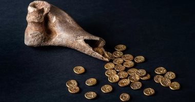 عملات أثرية داخل عظم بقرة في متحف " لين " ببريطانيا
