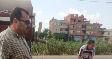 زراعة الأشجار ورفع كفاءة الحدائق والإنارة بقلين وبلطيم بكفر الشيخ
