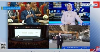 أستاذة اقتصاد: الدولة تسعى لتوطين الصناعات الوطنية عن طريق المبادرات