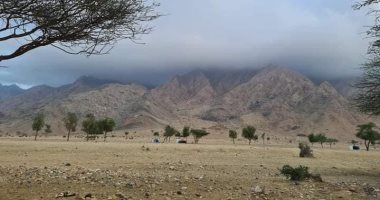 قمة المناخ.. "هيبا والدئيب وأبرق" أودية جبلية بمحميات البحر الأحمر الطبيعية.. تسكنها الحيوانات البرية وتنبت بها نباتات عطرية وطبية.. مكان للنقاء والعزلة يعشقه أهل البادية.. وباحث: محطة الطيور المهاجرة.. صور 