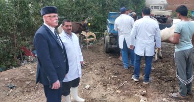 تحصين 39 ألفا و500 حيوان ضمن الحملة القومية للتحصين ضد مرض الطاعون في الغربية