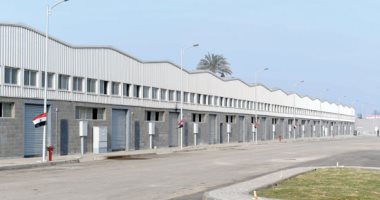 سنوات الصناعة الذهبية.. طرح الرخص الذهبية للمستثمرين الصناعيين.. وتفضيل المنتج المحلى فى عقود المشروعات الحكومية.. وتوفير الطاقة بعد أزمات انقطاع الكهرباء والغاز.. وطرح برامج لدعم القطاعات الإنتاجية المصدرة