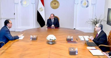 الرئيس السيسي يوجه بالتوسع فى تصنيع مكونات إنتاج الطاقة الجديدة والمتجددة