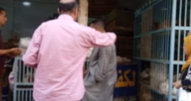 غلق 5 منشآت تجارية مخالفة بحى المنتزه أول في الإسكندرية