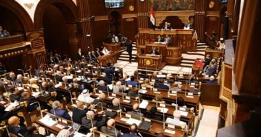 الشيوخ يوافق على اقتراح نائب التنسيقية بتعديل مادة 88 من قانون السلك الدبلوماسى