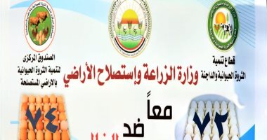 "الزراعة" تطرح كميات من بيض المائدة عبر منافذها بـ72 جنيها للكرتونة