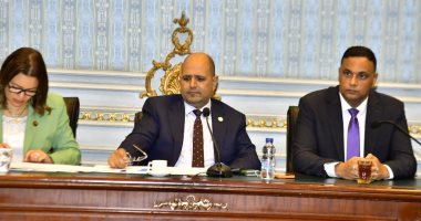 "طاقة النواب" تناقش طلب إحاطة بشأن أزمة تلوث البحر الفرعونى بالمنوفية