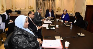 "مشروعات النواب": المبادرات القومية وفرت المزيد من فرص العمل