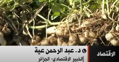 خبير جزائرى يوضح لـ"القاهرة الإخبارية" أبرز الملفات المطروحة بالقمة العربية