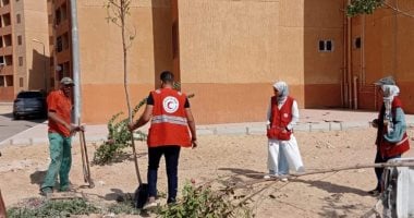 مساكن الطود الجديدة بالأقصر تتزين بالأخضر بزراعة 50 شجرة قبل مؤتمر المناخ