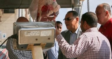 محافظ الشرقية يتفقد منفذ اللحوم الطازجة بالحسينية ومعرض السلع التموينية بأبو كبير