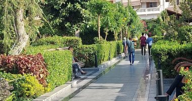 اتحضر للأخضر.. بورسعيد تسعى لتكون المدينة الخضراء تزامنا مع COP27.. مبادرات مجتمعية لتشجير الشوارع والميادين.. المحافظ يدشن مبادرة 100 مليون شجرة.. وتصعيد 6 مشروعات ضمن المبادرة الوطنية للمشروعات الخضراء.. صور