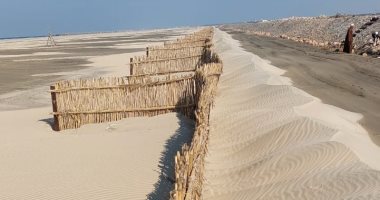 مصر تواجه التغيرات المناخية بمشروعات حماية من "البوص والرمال" فى كفر الشيخ.. رئيس صندوق المناخ الأخضر: منخفضة التكلفة والمجتمع المحلى يشارك فى تنفيذها.. ونموذج يمكن تكراره فى العديد من دول العالم‬‬‬