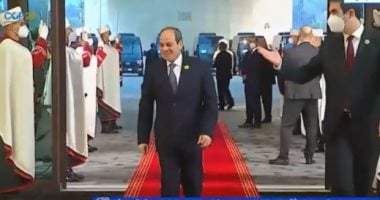 باحثة بالمركز المصرى للفكر: دور مصر المحورى يعطى زخما للقمة العربية فى الجزائر