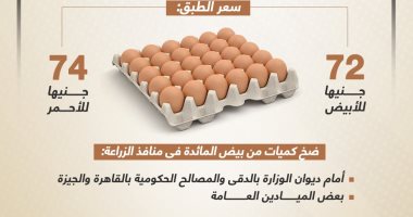 الطبق بـ72 جنيها.. البيض بسعر مخفض فى منافذ وزارة الزراعة.. إنفوجراف