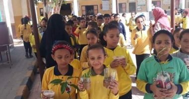 تعليم الوادى الجديد: ندوات وفعاليات لدعم مؤتمر المناخ بشرم الشيخ.. صور