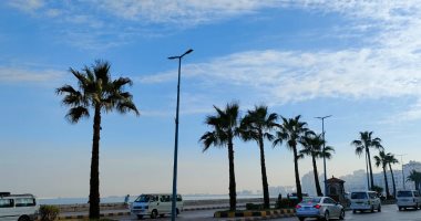 طقس الإسكندرية اليوم.. معتدل على المحافظة والأرصاد تكشف أماكن الشبورة